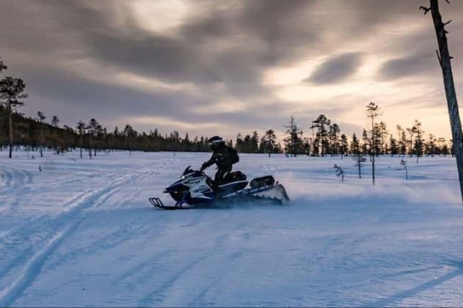 Levi: Twilight Snowmobile Safari & Stargazing Experience - Key Highlights You’ll Feel Immediately