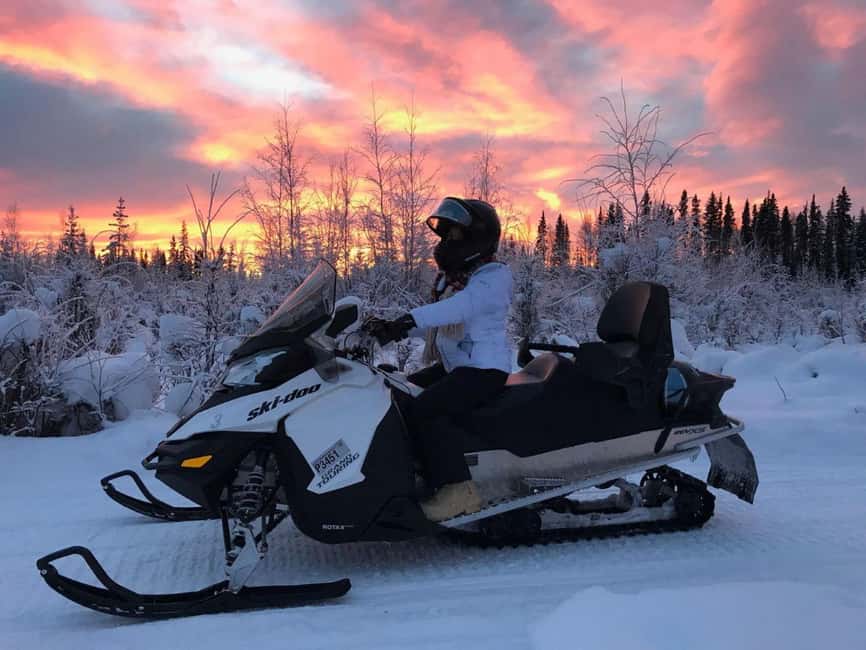 Levi: Twilight Snowmobile Safari & Stargazing Experience - The 1-Hour Ride: Forest Twists, Open Snow, and Real Quiet