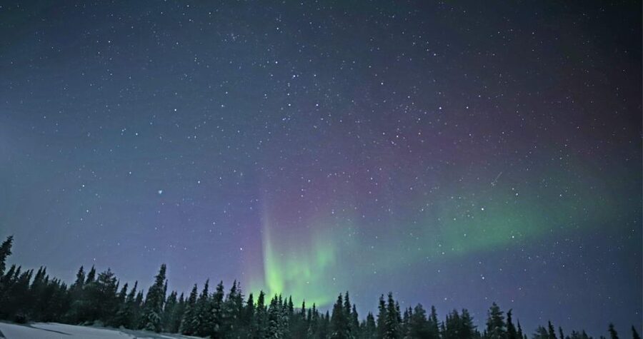 Levi: Twilight Snowmobile Safari & Stargazing Experience - After the Ride: Hot Drinks, Cookies, and Stargazing With a Telescope