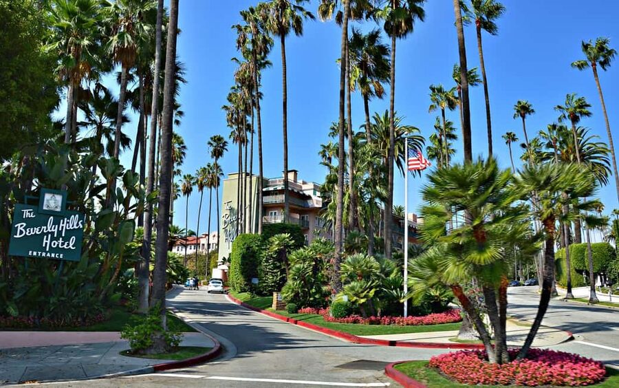 Los Angeles Half-Day City & Beach Tour with Hotel Pickup - Santa Monica Pier in 45 minutes: beach time that feels real