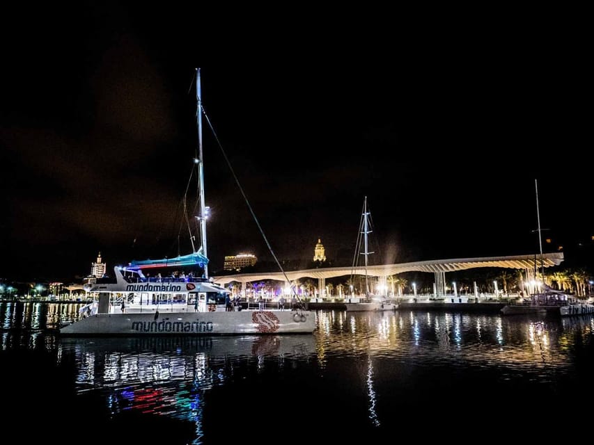 Malaga: A Sea of Stars Nighttime Stargazing Catamaran Tour - Malaga by night, reframed from the water