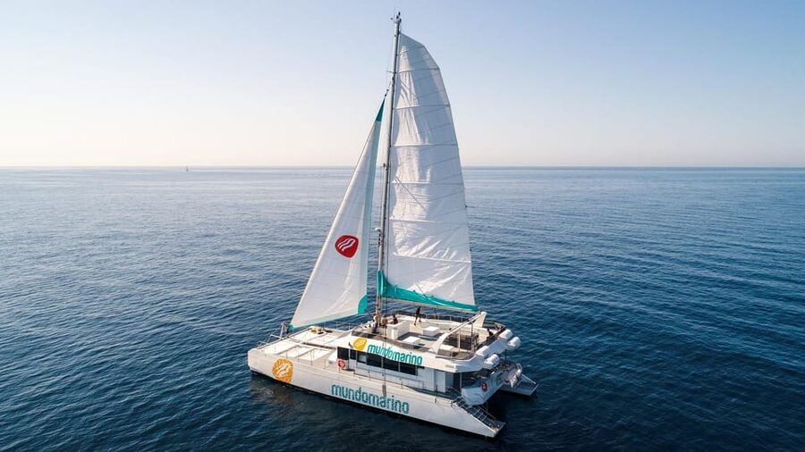 Malaga: A Sea of Stars Nighttime Stargazing Catamaran Tour - Comfort tips that actually matter on a night cruise