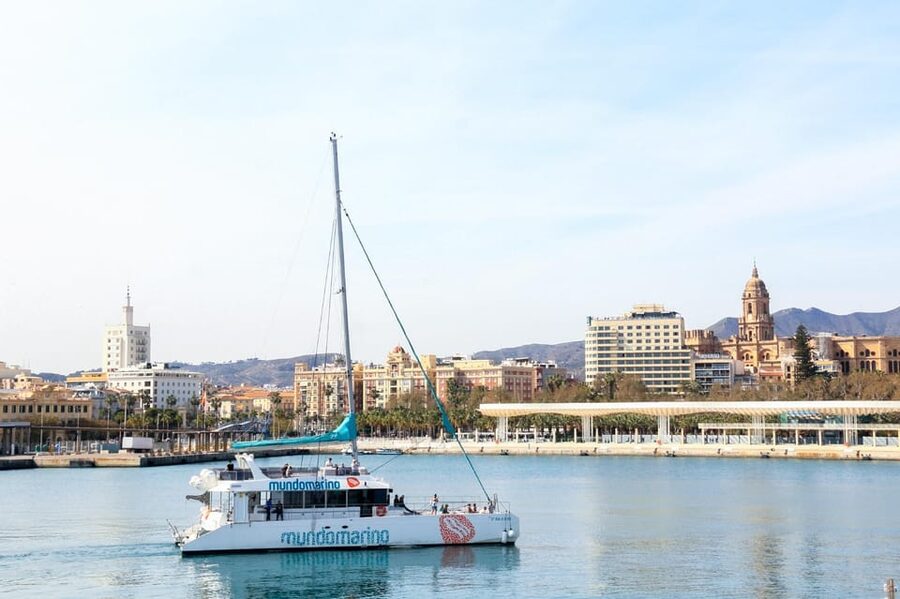Malaga: A Sea of Stars Nighttime Stargazing Catamaran Tour - Should you book this Malaga sea-of-stars cruise?