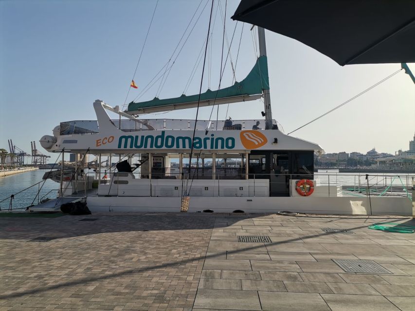 Malaga: A Sea of Stars Nighttime Stargazing Catamaran Tour - The 1.5-hour flow: what happens from boarding to return