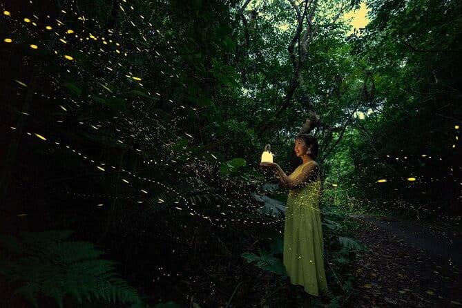 【March-June】Private Firefly Viewing & Stargazing tour - Why Ishigaki’s Dark Sky Reserve Changes the Stargazing Game