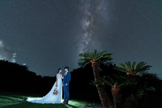 【March-June】Private Firefly Viewing & Stargazing tour - March–June Timing: the Tour’s Real Superpower