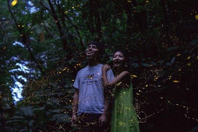【March-June】Private Firefly Viewing & Stargazing tour - Price and Value: What $248 Really Covers