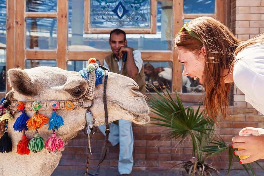 Marsa Alam Bedouin Nights: Jeep Safari, Dinner & Stargazing - The Bedouin pharmacy stop: cultural, but expect selling