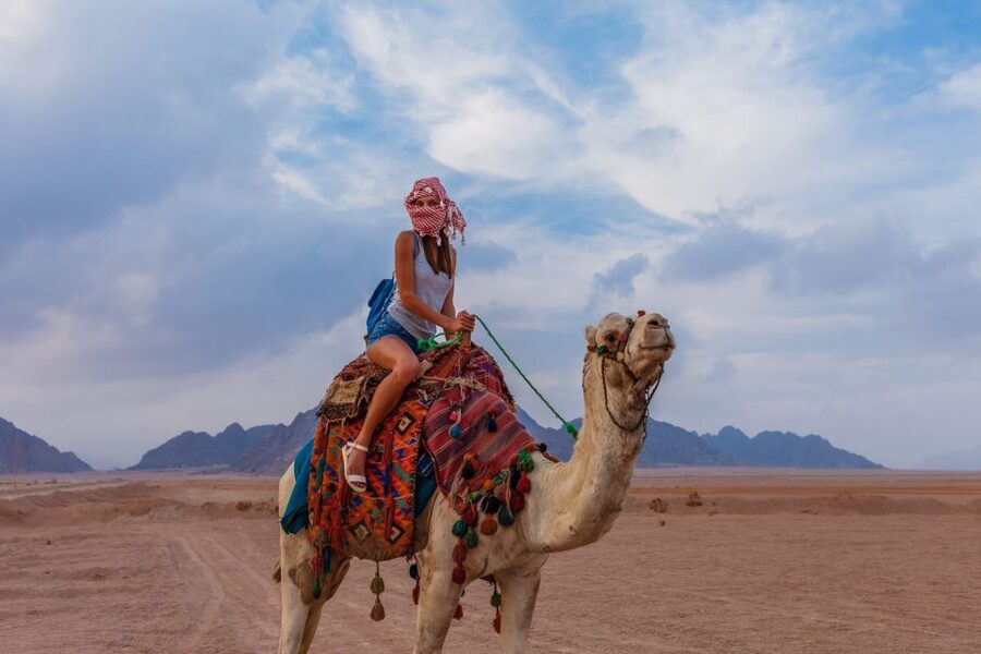 Marsa Alam Bedouin Nights: Jeep Safari, Dinner & Stargazing - Price and value: does $76 really cover the right things?