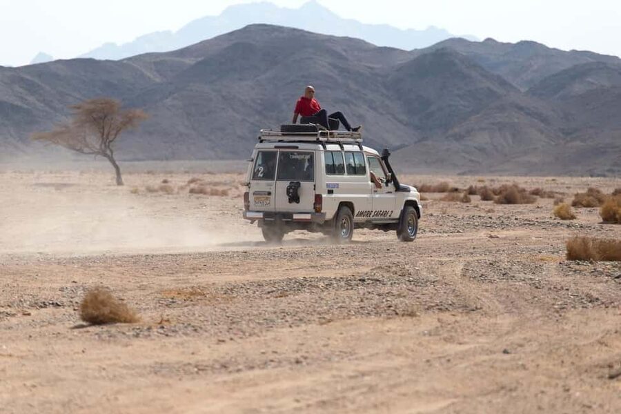 Marsa Alam Bedouin Nights: Jeep Safari, Dinner & Stargazing - Who should book, and who should skip it