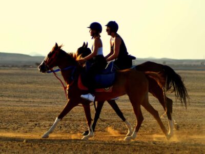 Marsa Alam: Sunset Horseback with Dinner, Show & Stargazing - Meet at the stables: quick orientation and what to bring