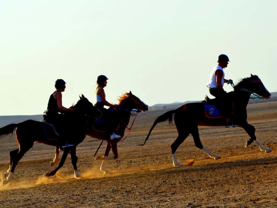 Marsa Alam: Sunset Horseback with Dinner, Show & Stargazing - Bedouin camp dinner and the live show: culture, not just food