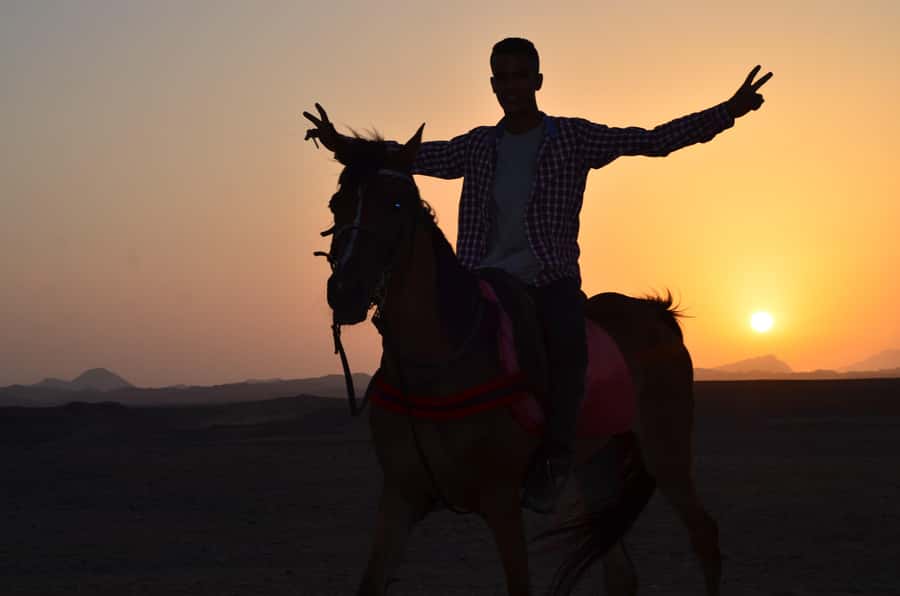 Marsa Alam: Sunset Horseback with Dinner, Show & Stargazing - Logistics that affect your day: pickups, travel time, and where to meet