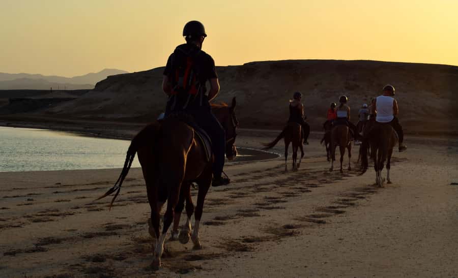 Marsa Alam: Sunset Horseback with Dinner, Show & Stargazing - Price and value: what $29 buys for a full evening