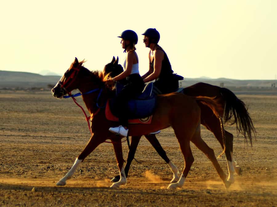 Marsa Alam: Sunset Horseback with Dinner, Show & Stargazing - Meet at the stables: quick orientation and what to bring