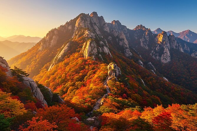 Missionary Memorial Hall and Goseong DMZ Observatory from sokcho - Key highlights you’ll care about