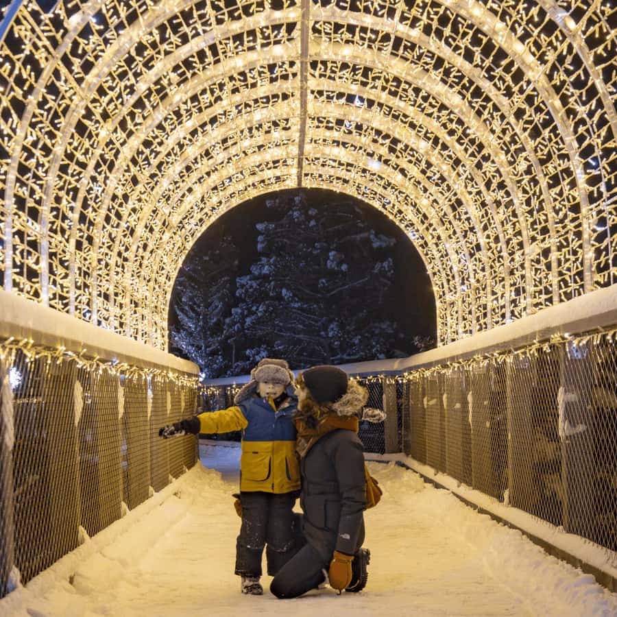 Mont-Tremblant: Treetop Observatory and Self-Guided Walk - Key things to know before you go