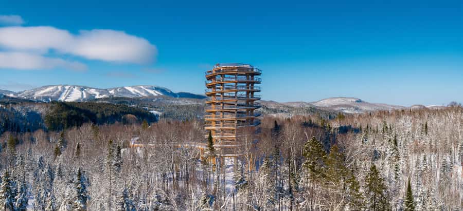 Mont-Tremblant: Treetop Observatory and Self-Guided Walk - Why the 40-Metre Treetop Observatory feels different