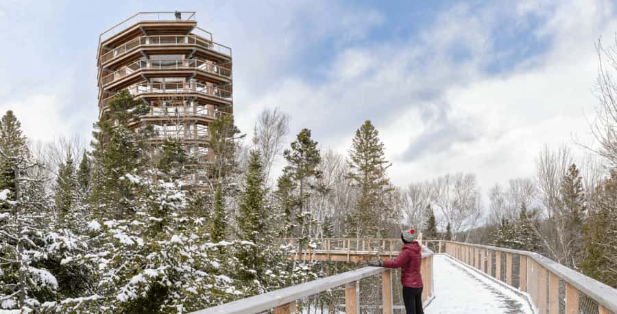 Mont-Tremblant: Treetop Observatory and Self-Guided Walk - The self-guided treetop route: distance, slope, and what you’ll notice