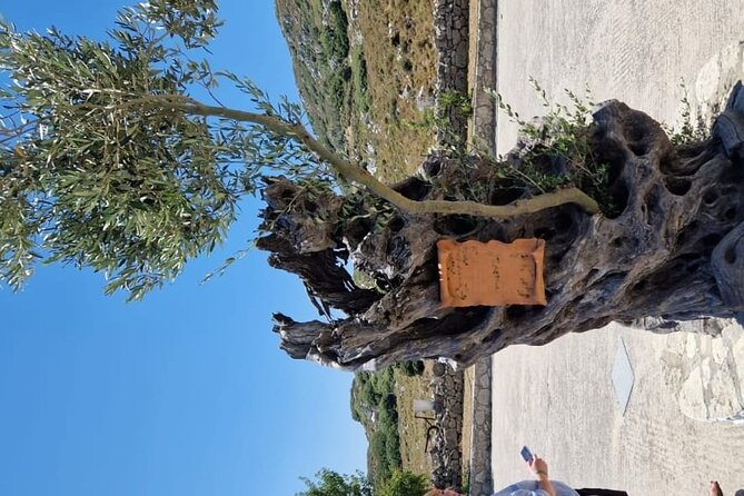 Mount Juktas, the observatory of CRETE ZEUS face mountain - The Cretan village atmosphere: a second taste of local life
