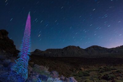 Mount Teide Night Tour: Stargazing, Dinner and Hotel Pick up - Teide National Park at night: What you gain (and what can limit it)