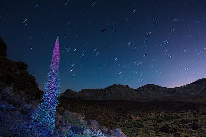 Mount Teide Night Tour: Stargazing, Dinner and Hotel Pick up - Who this tour suits best