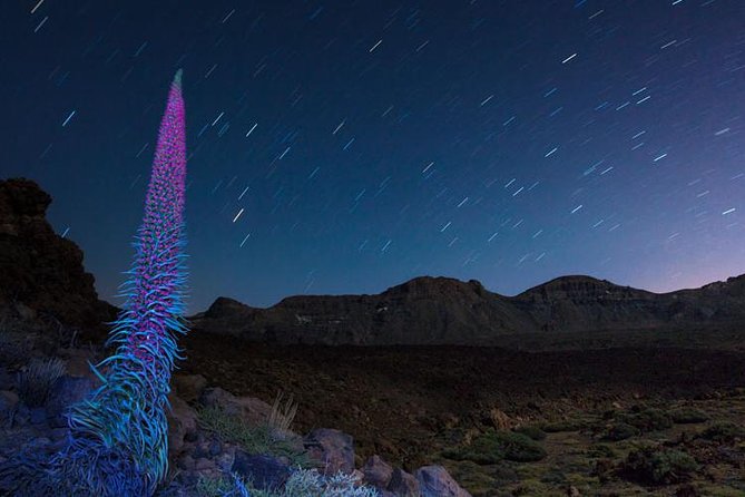 Mount Teide Night Tour: Stargazing, Dinner and Hotel Pick up - Teide National Park at night: What you gain (and what can limit it)