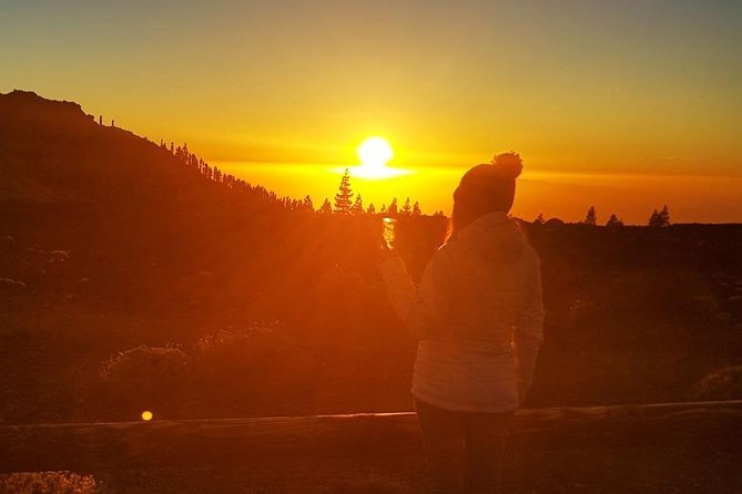 Mount Teide Stargazing with Dinner - Pickup From the South: What to Expect Before You Even Look Up