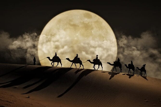 Night Desert Safari, Stargazing, Dune Driving & Inland Sea Visit - Quick hits you’ll care about