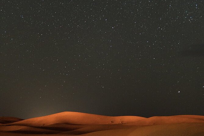 Night Desert Safari, Stargazing, Dune Driving & Inland Sea Visit - Camp time, camels, and falcons: the short, real version