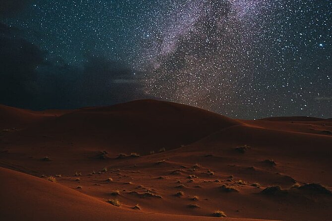 Night Desert Safari, Stargazing, Dune Driving & Inland Sea Visit - Drinks and ride comfort: small inclusions that matter on a night outing