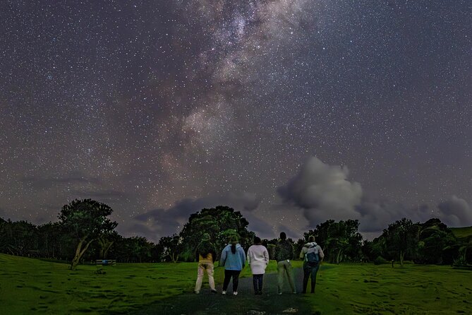 Nocturnal Wonders Tawharanui Kiwi Spotting and Stargazing Tour - The small-group setup that makes asking questions actually work