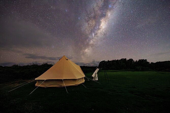 Nocturnal Wonders Tawharanui Kiwi Spotting and Stargazing Tour - Stargazing at a park site chosen for the stars