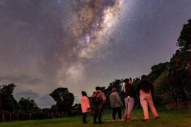 Nocturnal Wonders Tawharanui Kiwi Spotting and Stargazing Tour - Walking in the bush: up close with nature, without pretending it’s easy