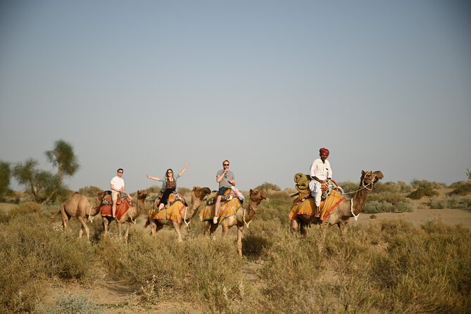 Non-Touristic Overnight Camel Safari with Stargazing Hidden Tour In Desert - Why This Camel Safari Feels More Local Than Showy