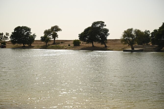 Non-Touristic Overnight Camel Safari with Stargazing Hidden Tour In Desert - Who This Tour Fits Best (And Who Should Skip It)