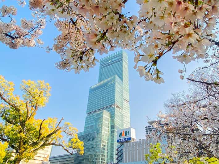 Osaka: Abeno Harukas 300 Observatory E-Ticket - Key things to love about Abeno Harukas 300