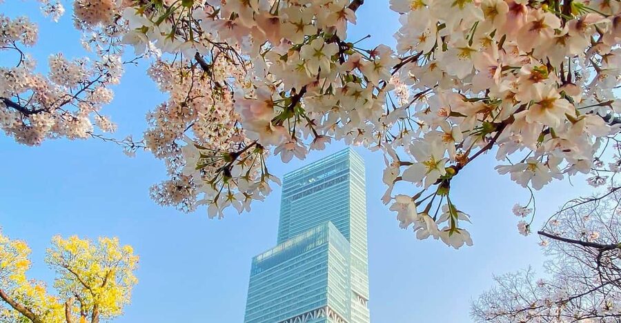 Osaka: Abeno Harukas 300 Observatory E-Ticket - Art Museum on the 16th floor: culture beyond the skyline
