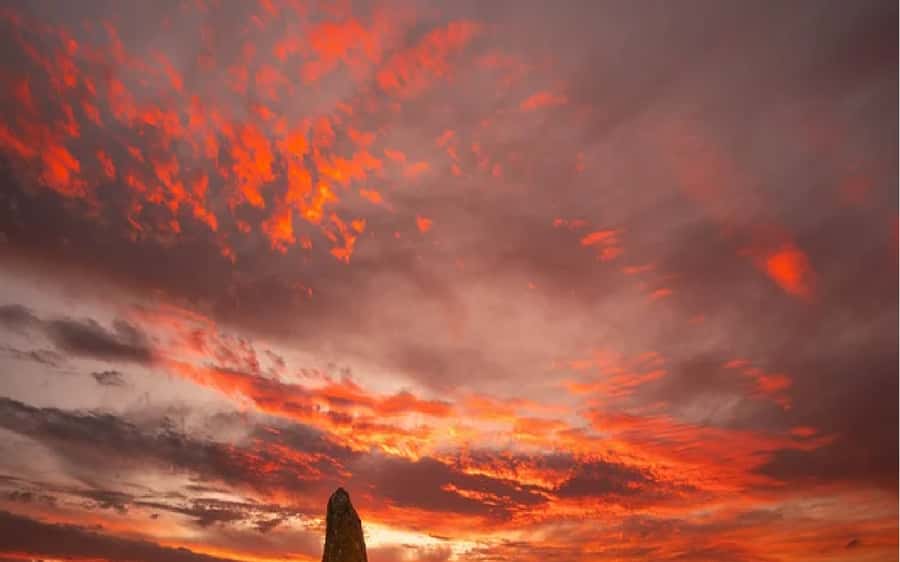 Perth: Pinnacles Desert Sunset & Stargazing with Dinner - Key points before you go