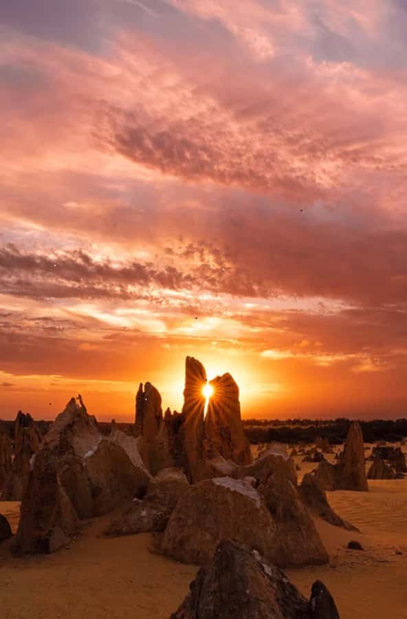 Perth: Pinnacles Desert Sunset & Stargazing with Dinner - From Yanchep Koalas to the Pinnacles at golden hour