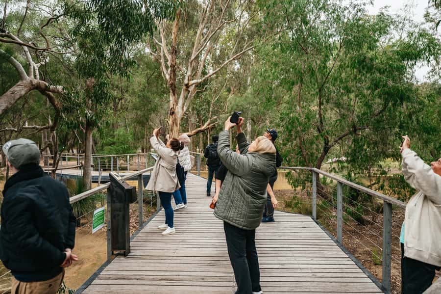 Perth: Pinnacles Desert Sunset & Stargazing with Dinner - Timing, weather, and the 8-hour reality in Perth