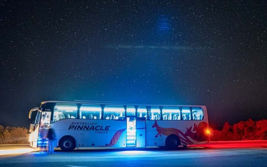 Perth: Pinnacles Desert Sunset & Stargazing with Dinner - Who should book this tour, and who should skip it