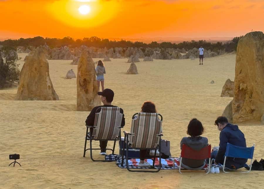 Perth: Pinnacles Stargazing, Sandboarding & Beach Kangaroos - A Full-Day Perth Shortcut to Lancelin, Kangaroos, and the Pinnacles