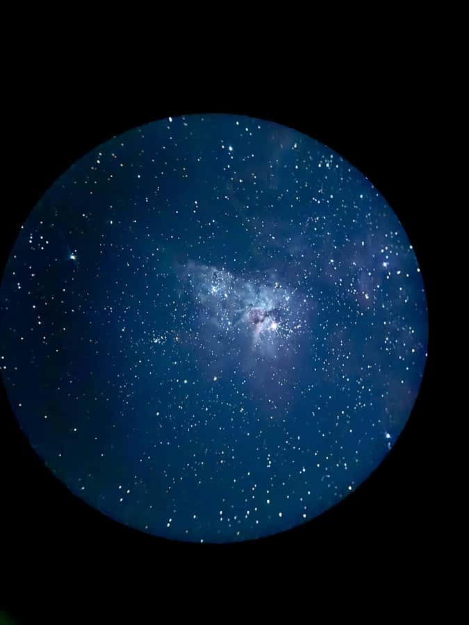 Perth: Pinnacles Stargazing, Sandboarding & Beach Kangaroos - Lancelin Sand Dunes: Sandboarding and Ocean Views