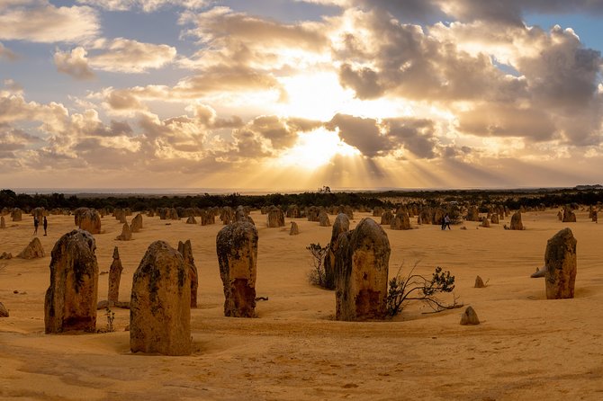 Pinnacle Desert Sunset and Night-time Stargazing Tour from Perth - Key moments that make this tour work