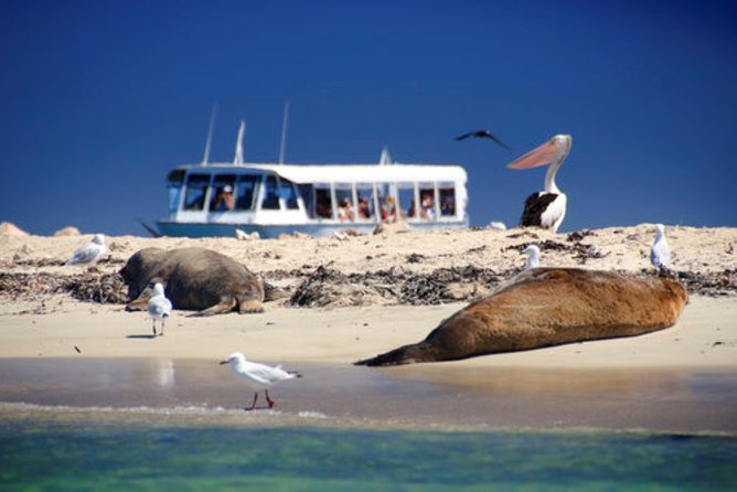 Pinnacle Desert Sunset and Night-time Stargazing Tour from Perth - Price and value: what you’re actually getting for $161-ish