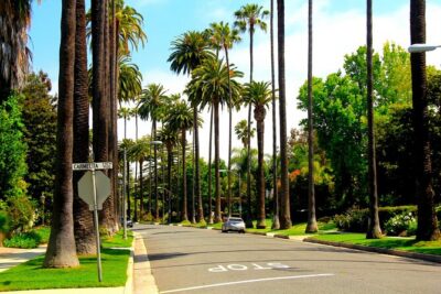 Private Getty Center to Griffith Observatory Guided Tour - The narrated bus ride: Beverly Hills, Sunset Strip, and Hollywood Sign views