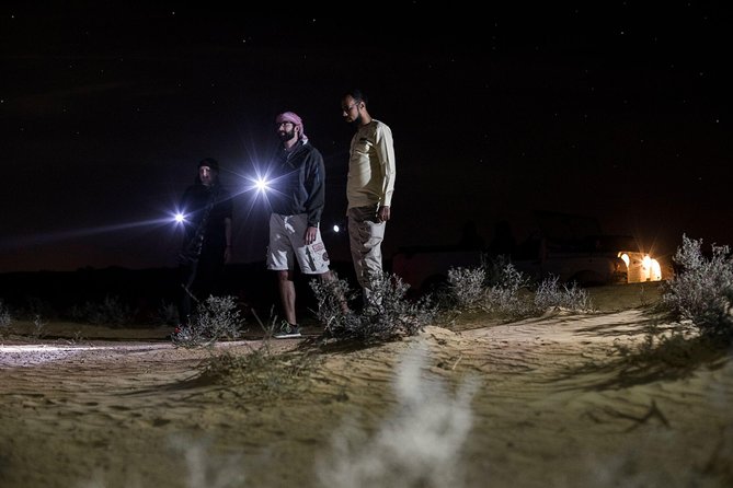 Private Night Vintage Land Rover Desert Safari & Stargazing - Private Attention and the Guide Factor: Why This Feels Personal