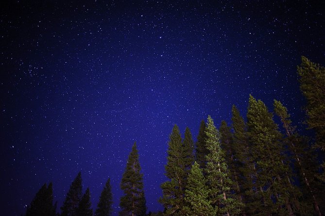 Private Stargazing - Sequoia National Park - Price and value: $200 per group for a private, guided night
