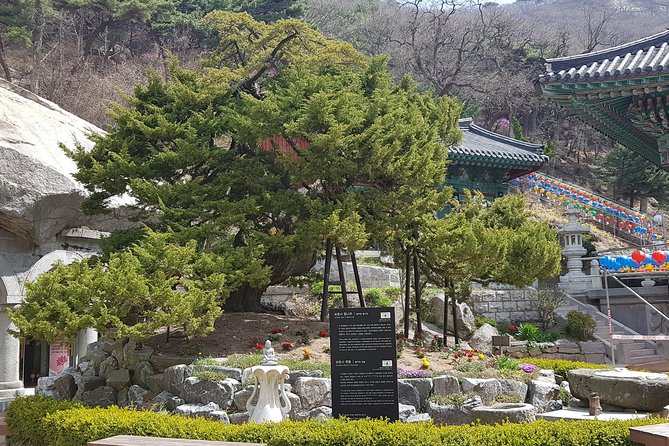 Private Trip to Seongmo Island(Temple) and North Korea Observatory+Kimchi Lesson - A small-group private day: why the “just your crew” setup helps